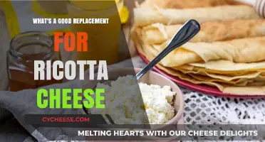 Creamy Alternatives: Best Ricotta Cheese Substitutes for Your Recipes