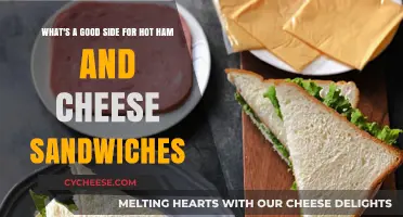 Perfect Pairings: Delicious Sides to Elevate Your Hot Ham and Cheese Sandwiches