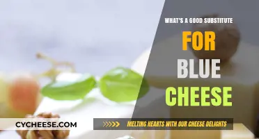 Discover Tasty Alternatives to Blue Cheese for Your Next Recipe