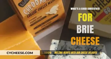 Creamy Brie Alternatives: Best Substitutes for Your Favorite Soft Cheese