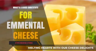 Perfect Emmental Cheese Alternatives for Your Favorite Recipes and Dishes