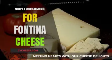 Best Fontina Cheese Substitutes for Your Favorite Recipes