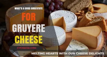Gruyere Alternatives: Best Cheeses to Substitute in Your Recipes