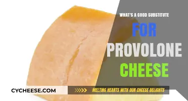Best Provolone Cheese Alternatives: Tasty Substitutes for Your Recipes