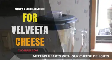 Creamy Alternatives: Best Substitutes for Velveeta Cheese in Recipes