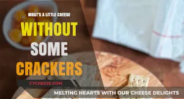 Cheese and Crackers: The Perfect Pairing for Snack Lovers
