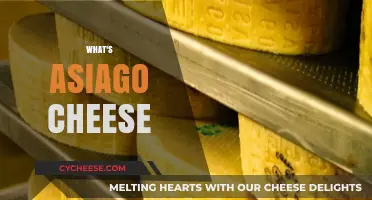 Discovering Asiago Cheese: Origins, Flavors, and Culinary Uses Explained