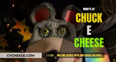 Chuck E. Cheese: Fun, Food, and Entertainment for All Ages!