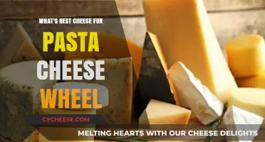 The Best Cheeses for Pasta: A Cheese Wheel Guide