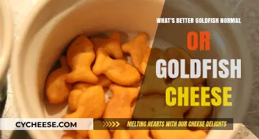 Goldfish Crackers Showdown: Original vs. Cheese Flavor – Which Wins?