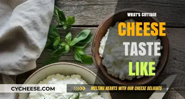 Exploring Cottage Cheese: Flavor, Texture, and Culinary Versatility Unveiled