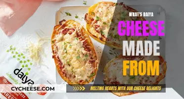 Daiya Cheese: What's the Secret Ingredient?