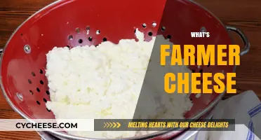Discover the Creamy Delight: What is Farmer Cheese and How to Use It