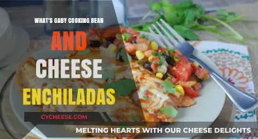 Gaby's Cheesy Enchiladas: A Hearty Mexican Feast