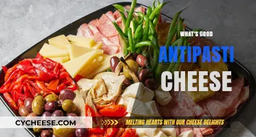 Discover the Best Antipasti Cheeses for Your Next Italian Appetizer