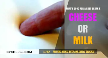 Cheese or Milk: Which Dairy Delight Enhances Your Rest Break?