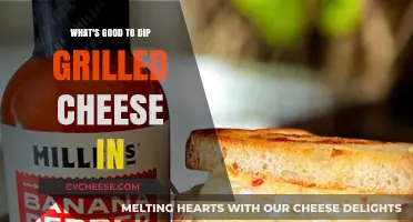 Delicious Dips for Grilled Cheese: Elevate Your Comfort Food Game