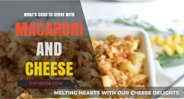 Perfect Pairings: Delicious Sides to Elevate Your Macaroni and Cheese