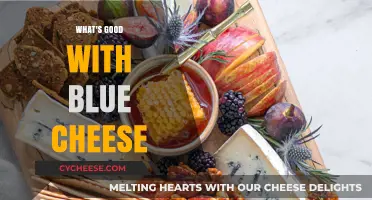 Blue Cheese Bliss: Discovering Its Unique Flavor and Perfect Pairings