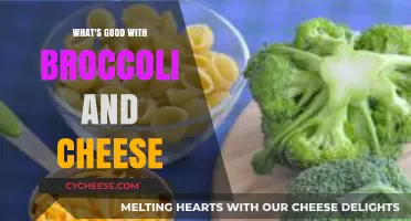 Broccoli and Cheese: A Perfect Pairing for Flavorful, Nutritious Meals