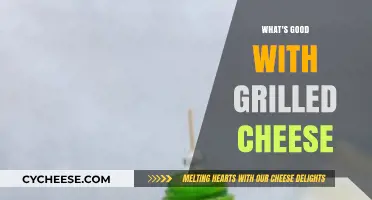 Grilled Cheese Perfection: Creative Twists and Classic Comforts Explored