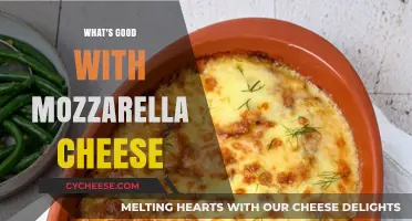 Mozzarella Magic: Delicious Ways to Enjoy This Cheesy Delight