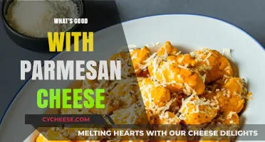 Parmesan Cheese Perfection: Elevating Dishes with Umami-Rich Flavor