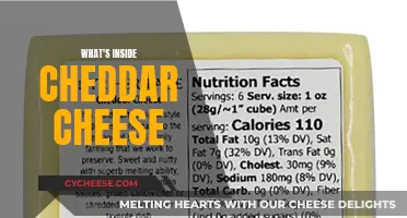 Unveiling Cheddar's Secrets: A Journey Inside the Cheese