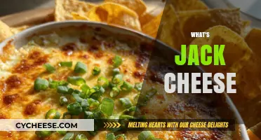 Discover the Creamy Delight: What's Jack Cheese and Why It's Loved