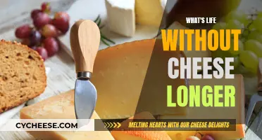 Cheese: A Longer, Tastier Life