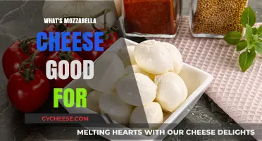 Mozzarella Cheese Benefits: Uses, Nutrition, and Delicious Recipes to Try