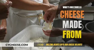 The Magic Behind Mozzarella: From Curds to Creamy Cheese