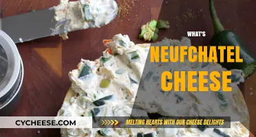 Discovering Neufchatel Cheese: A French Delight and Creamy Classic