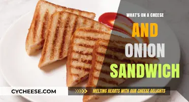 Cheese and Onion Sandwich: Simple Ingredients, Big Flavor, Easy Recipe