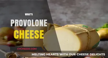 Discover Provolone Cheese: Origin, Flavor, Uses, and Unique Qualities