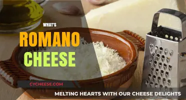 Discover the Rich Flavor and Uses of Romano Cheese