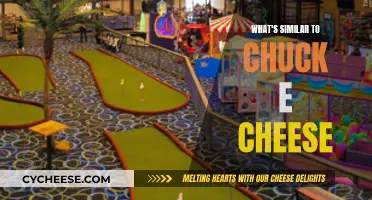 Family-Friendly Fun: Alternatives to Chuck E. Cheese's