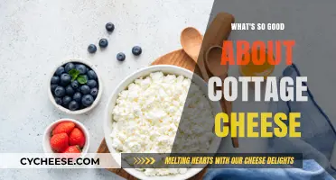 Cottage Cheese Benefits: A Nutritious, Versatile, and Delicious Superfood Explained