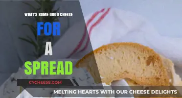 Creamy Cheese Spreads: Top Picks for Delicious, Easy Pairings