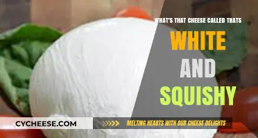 Discovering the Name of That Soft, White, Squishy Cheese You Love