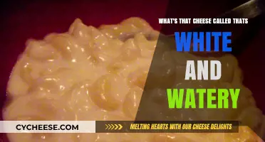Discover the Name of That White, Watery Cheese You Love