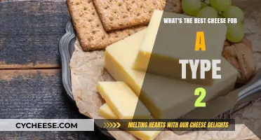 Cheese Options for Type 2 Diabetics