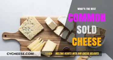 The Most Popular Cheeses: Which is the Best?