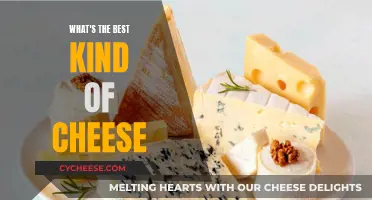 Cheese Connoisseurs: Finding the Perfect Cheese for You