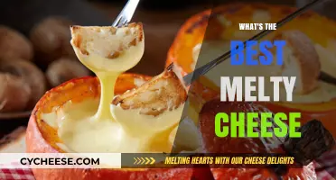 The Ultimate Melty Cheese Guide