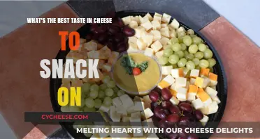 Cheese Snacking: The Best Tasty Treats to Try