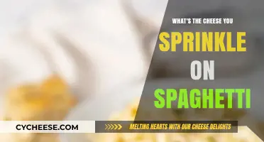 Perfect Parmesan: The Ultimate Cheese to Sprinkle on Spaghetti