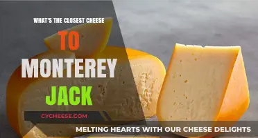 Discovering the Best Monterey Jack Cheese Alternatives: A Tasty Guide