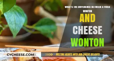 Fried vs. Cheese Wontons: Unraveling the Tasty Differences
