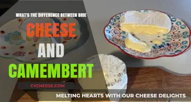 Brie vs. Camembert: Unraveling the Distinct Flavors and Textures